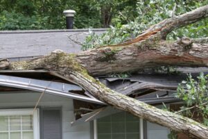 roof-crushed-by-tree